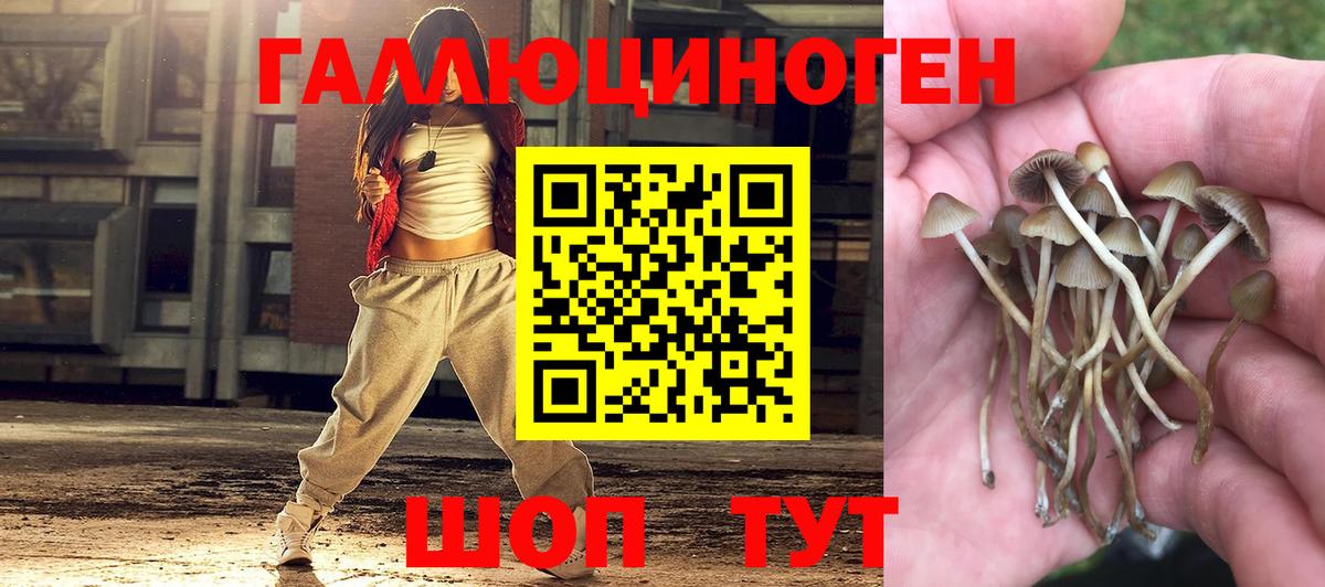 Галлюциногенные грибы Cubensis Чусовой